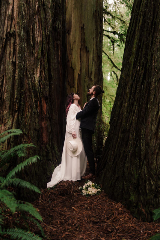 how to elope in the redwoods