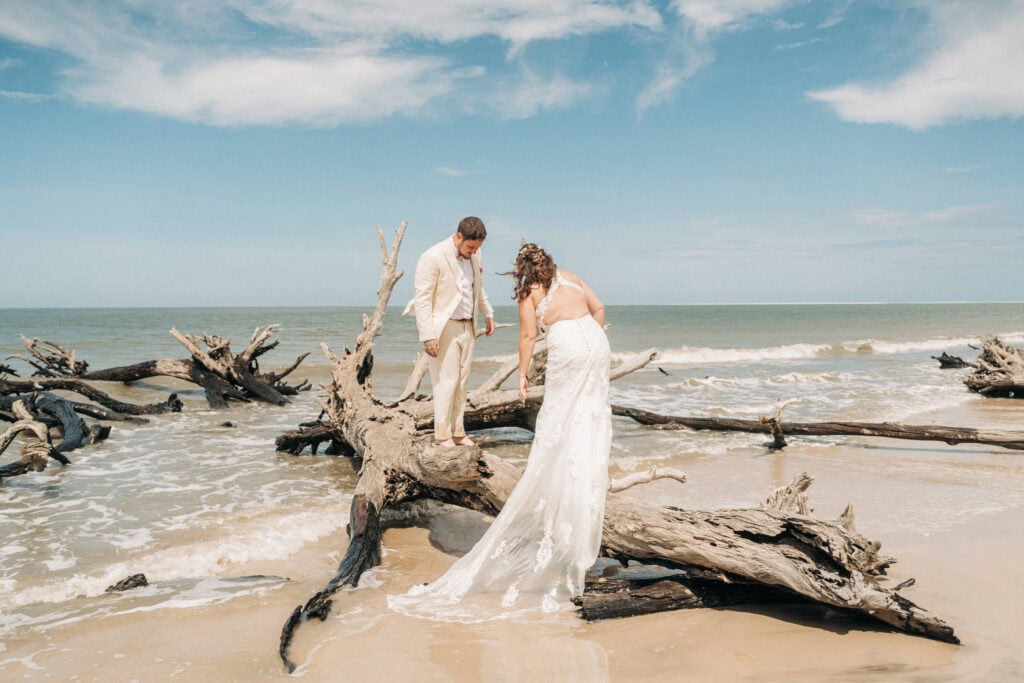 elopement couple surrounded by driftwoods on a florida beach
